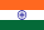 IN_FLAG